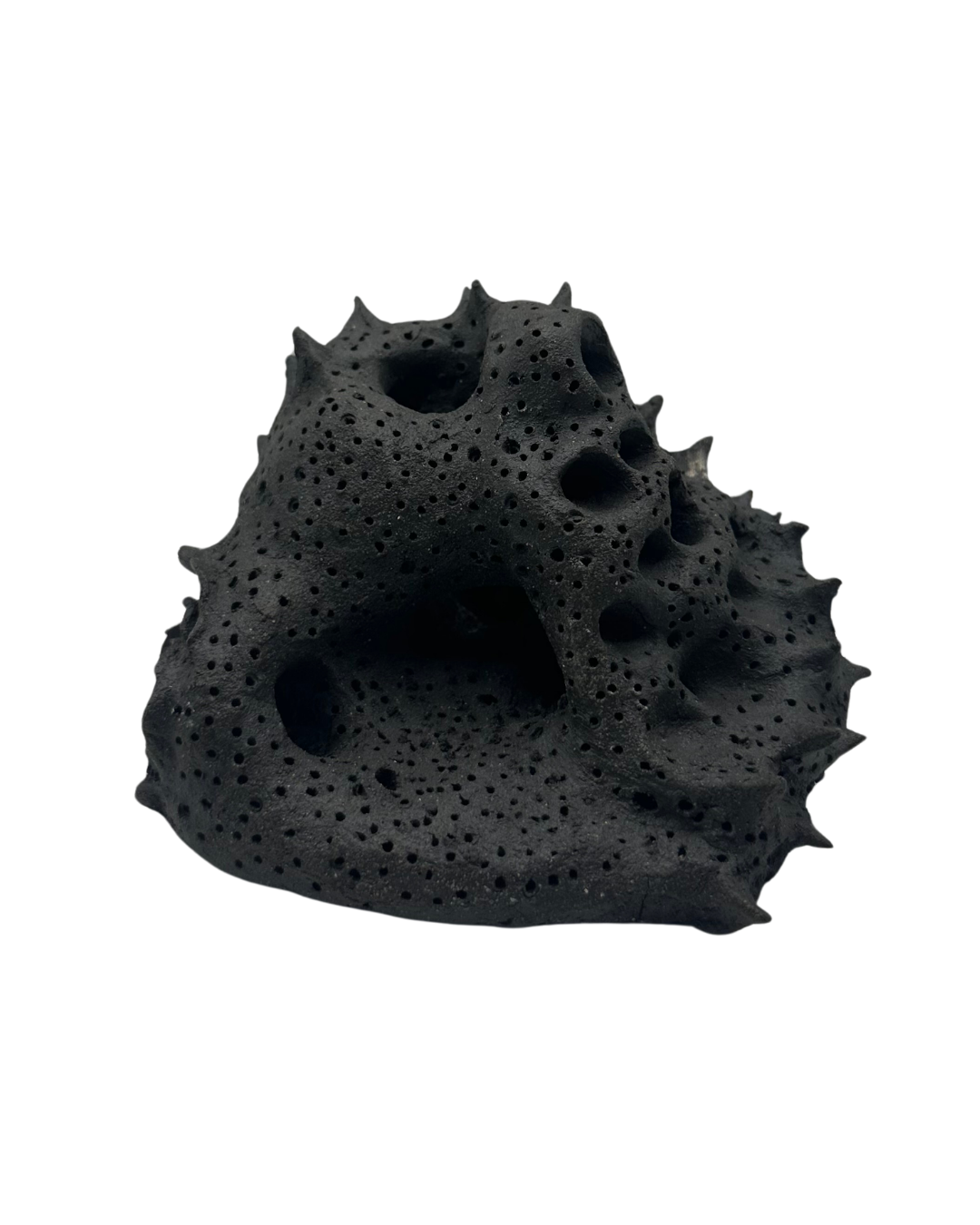 Tidepool Form