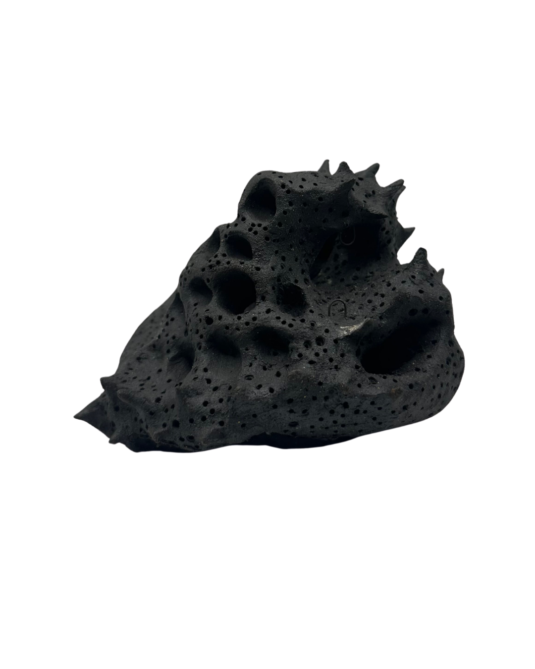 Tidepool Form
